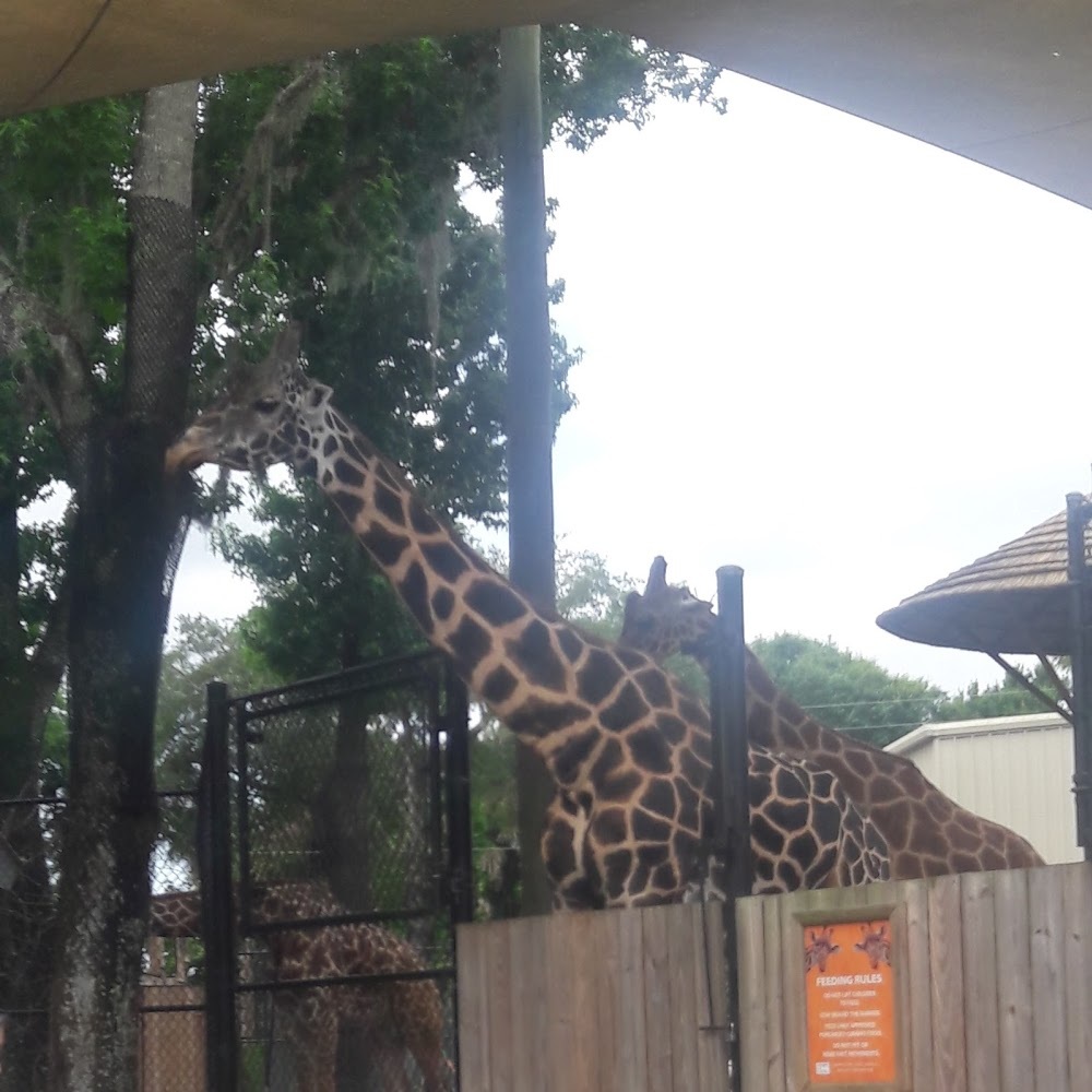 Meet your Posher, Ajisha alwin